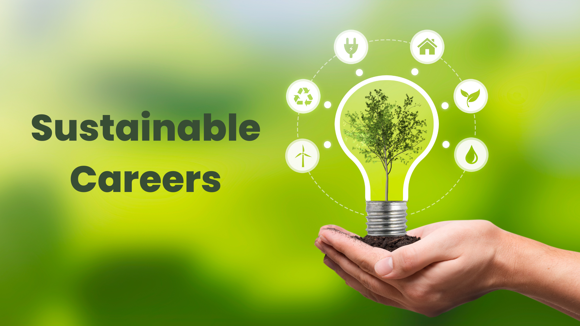 Sustainable Careers